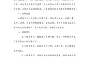 信息化平台如何为篮球运动员提供个性化训练建议